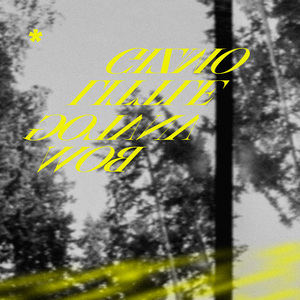 一条绮美香见子巨支
